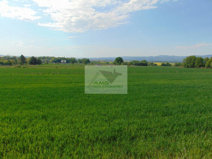 Działka siedliskowa Kiełczyn gm. Dzierżoniów