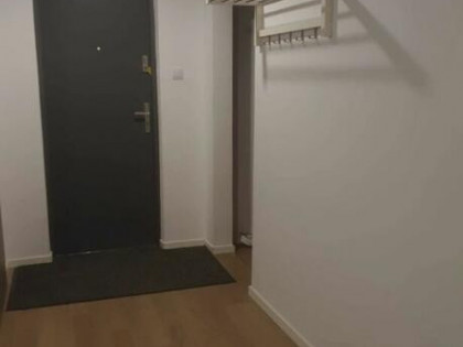 Mieszkanie dla singla/pary