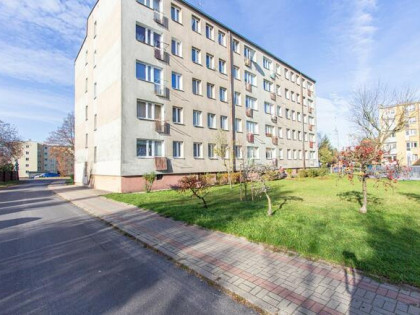 Atrakcyjne 2 pokoje na 1 pietrze