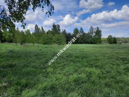 Śliczna działka w leśnej okolicy Rozalin