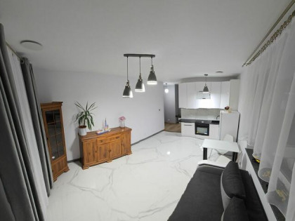 Apartament Mieszkanie 2 pokojowe na wynajem.