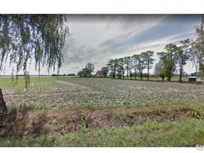 Działka rolna Rochaliki