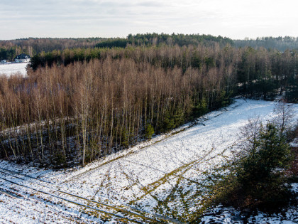 Twoje miejsce na dom – płaska, prostokątna działka