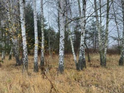 1029 m² działki budowlanej przy prywatnej drodze