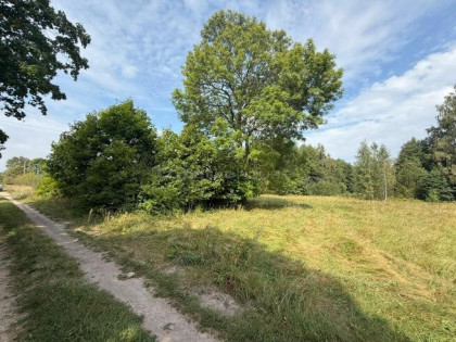 Stary, drewniany dom przy samym lesie!