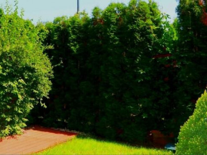 Blisko Gdańska |port i marina| nowe budownictwo| ogród |MP