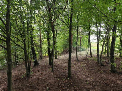 Działka rolna Wierzchucinek