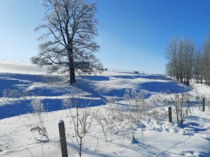 Malownicza działka w Jasionowie