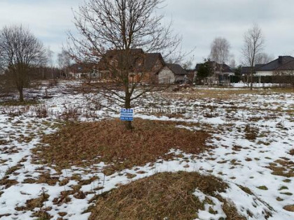 Działka budowlana Borek gm. Rzezawa