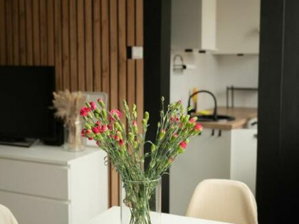 Wynajmę przytulną kawalerkę.