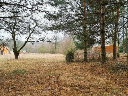 Działka budowlana Pieńki gm. Michałowo,