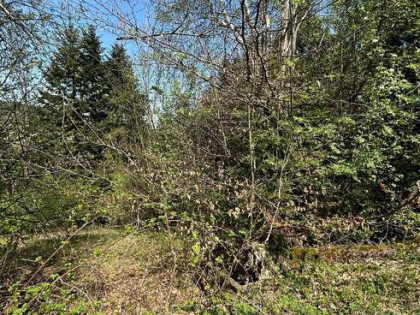 Działka budowlana Wadowice