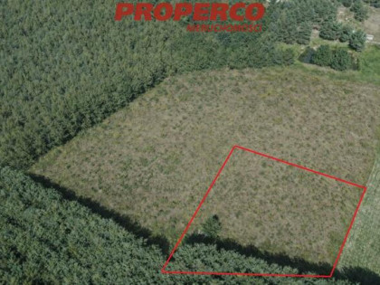 Działka Bogoria-Kolonia gm. Bogoria