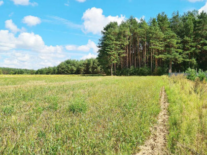Działka budowlana Wólka Poduchowna gm. Wasilków,