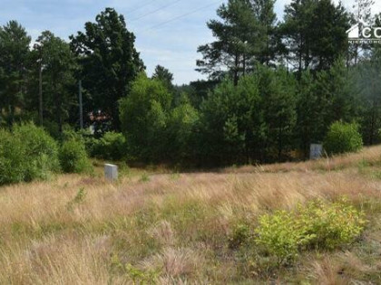 Działka budowlana Dziemiany