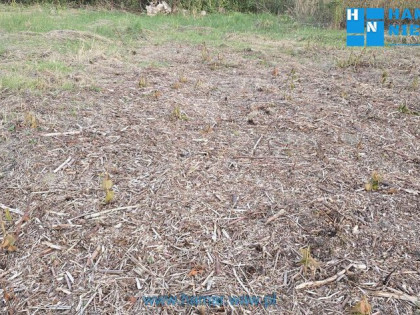 Kształtna działka z dostępem do wszystkich mediów