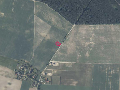 Tania działka budowl. pod lasem. Janczewo Kolonia