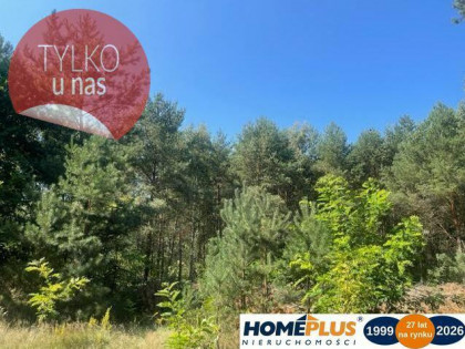 Działka letniskowa 1083 m² przy lesie, prąd