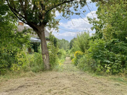 Działka rolna Żyrów gm. Chynów