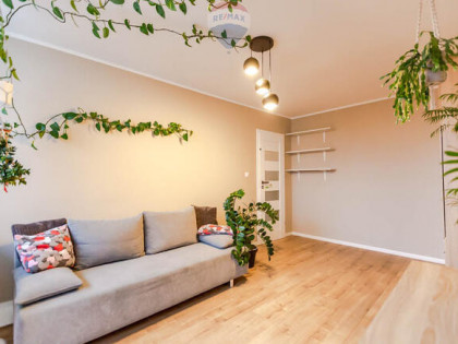 Do wynajęcia 3 pokoje w centrum Zielonej Góry!