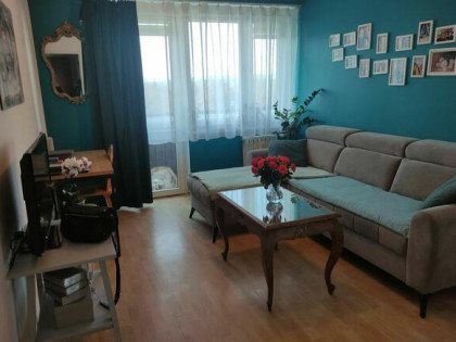 Mieszkanie dla singla lub pary - Nowy Targ ul. Szaflarska