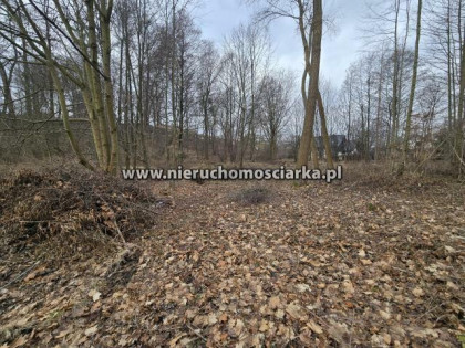 Działka budowlana Wodzisław Śląski