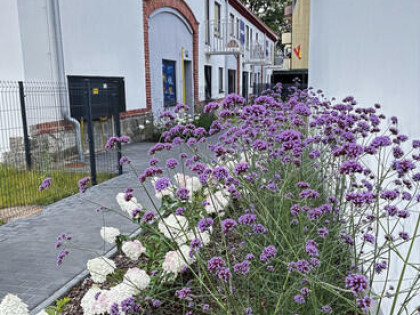 Piękny duży apartament w dworku/Krzyki/Wojszyce