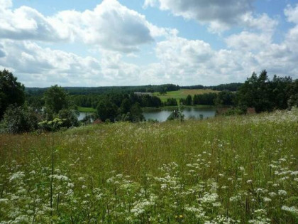 Działka rolno-budowlana Olszewo gm. Olecko