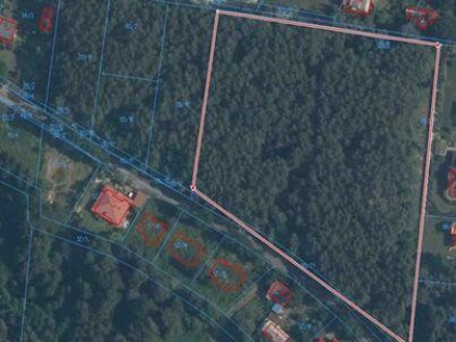 Działka leśna 3000 metrów Liszyno Gmina Słupno powiat płocki