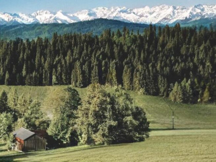 Działka z domem lub bez- Tatry , Podhale, Łapsze Niżne