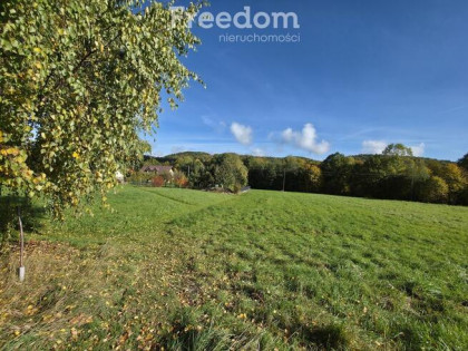 Działka budowlano-usługowa w Rzykach!