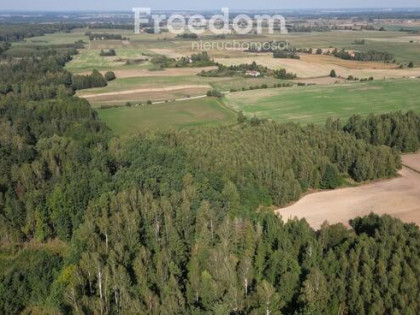 Kompleks działek z WZ w malowniczej okolicy