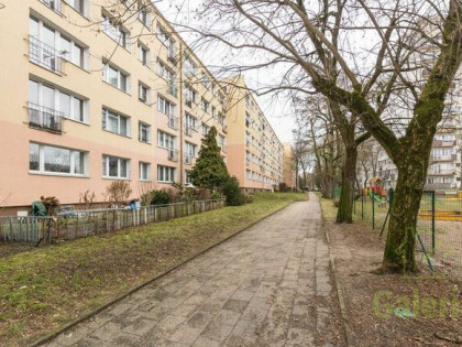 Pomorzany, 2 pokoje, wysoki parter!