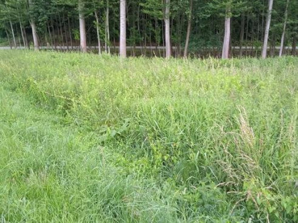 LASKÓWKA k Dynowa 8ar przy asfalcie 26400