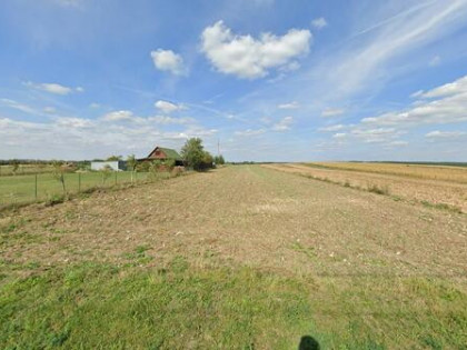 Sprzedam Działka rolno-budowlana Lusławice gmina Janów