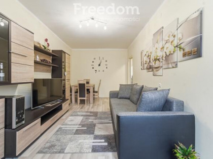 Kameralna, umeblowana kawalerka