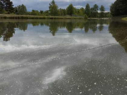 Sprzedam posiadłość