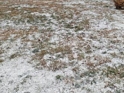 Sprzedam Działkę ROD