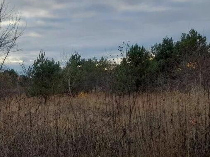 Działka budowlano-usługowa LISI OGON