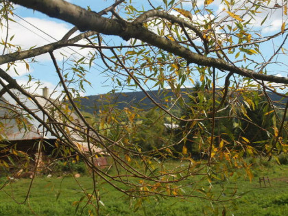 Urokliwa działka ze 100-letnim domem w Beskidzie Niski