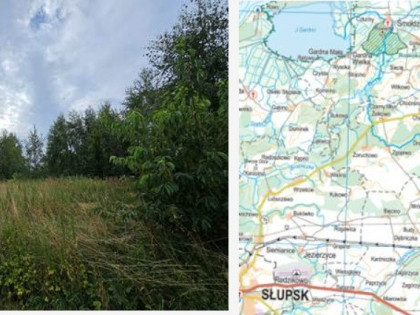 Działka Główczyce