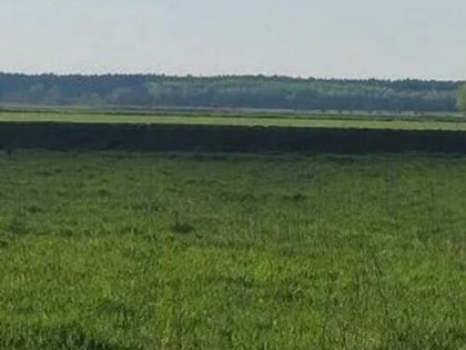 Działka budowlana w Przyłeki