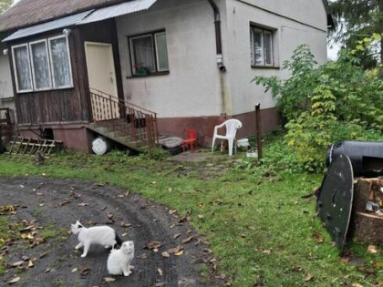 Działka 2000m2 z domem 110m2 - Paluki k. Ciechanowa