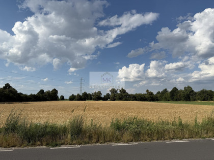 Działka Krzyżowice