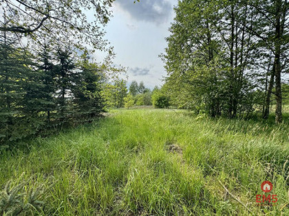 Działka budowlana Kosmaty Borek gm. Czarna Białostocka,