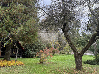 Działka Bielsko-Biała