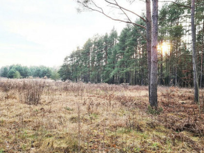 Działka budowlana Jurowce gm. Wasilków,