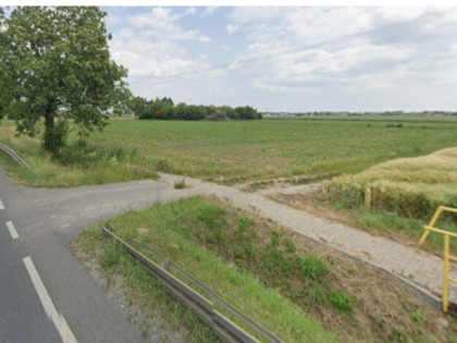 Działka Młodzieszyn ul.  