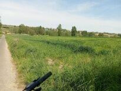 Sprzedam działkę rolną 23a z Warunkami Zabudowy Nadzów