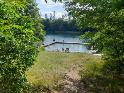 Sprzedam działkę rolno-budowlaną koło Szczytna